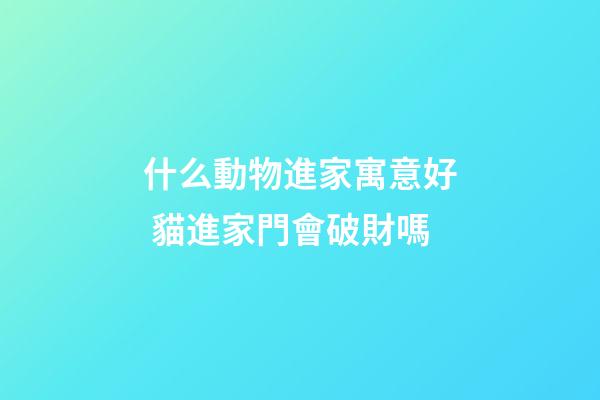 什么動物進家寓意好 貓進家門會破財嗎